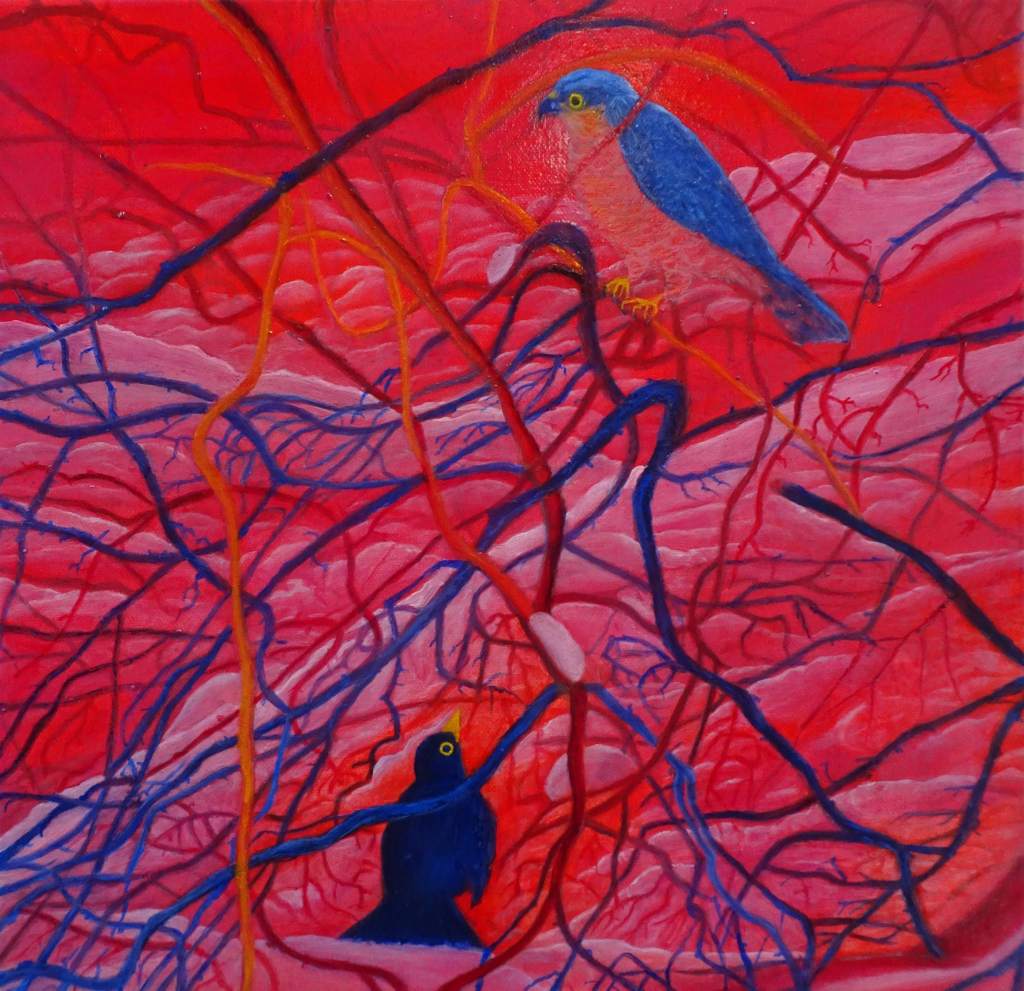 Blackbird meets the hawk, 2024, oil on canvas, 40 x 40 cm. © Hilja Roivainen